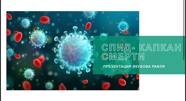 216 Заглушка: Заголовок